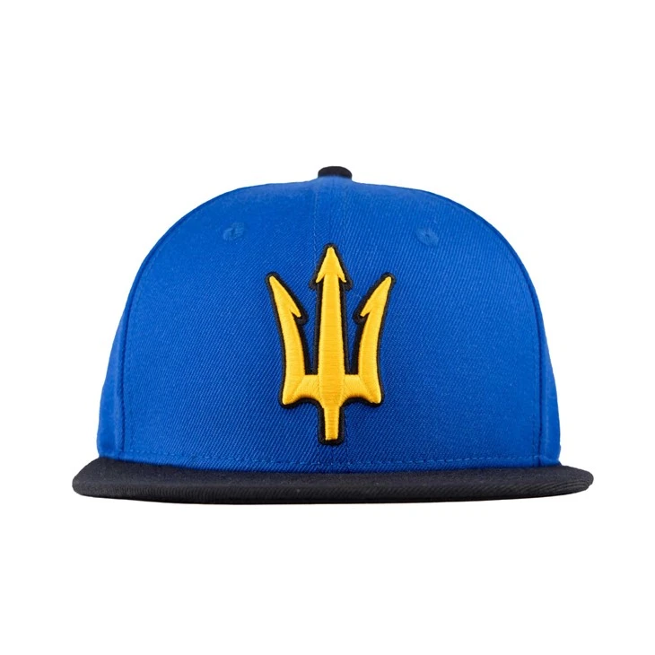 TCAP customize acrylic wool blend hat flat brim 6 panel fitted caps three-dimensional embroidery baseball hats